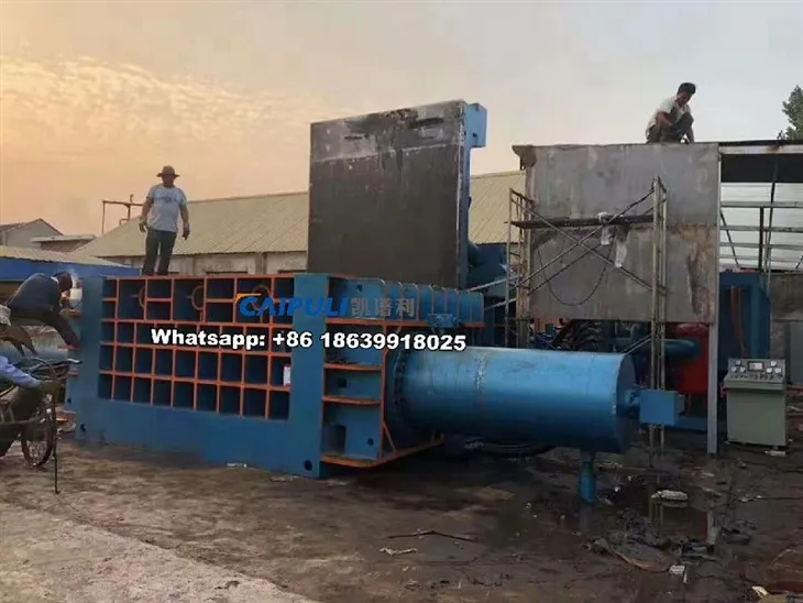 Y81T-800（2）(001)